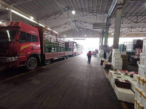 北京市農(nóng)產(chǎn)品運(yùn)入量分析 蔬果大幅增長，水產(chǎn)品波動穩(wěn)定